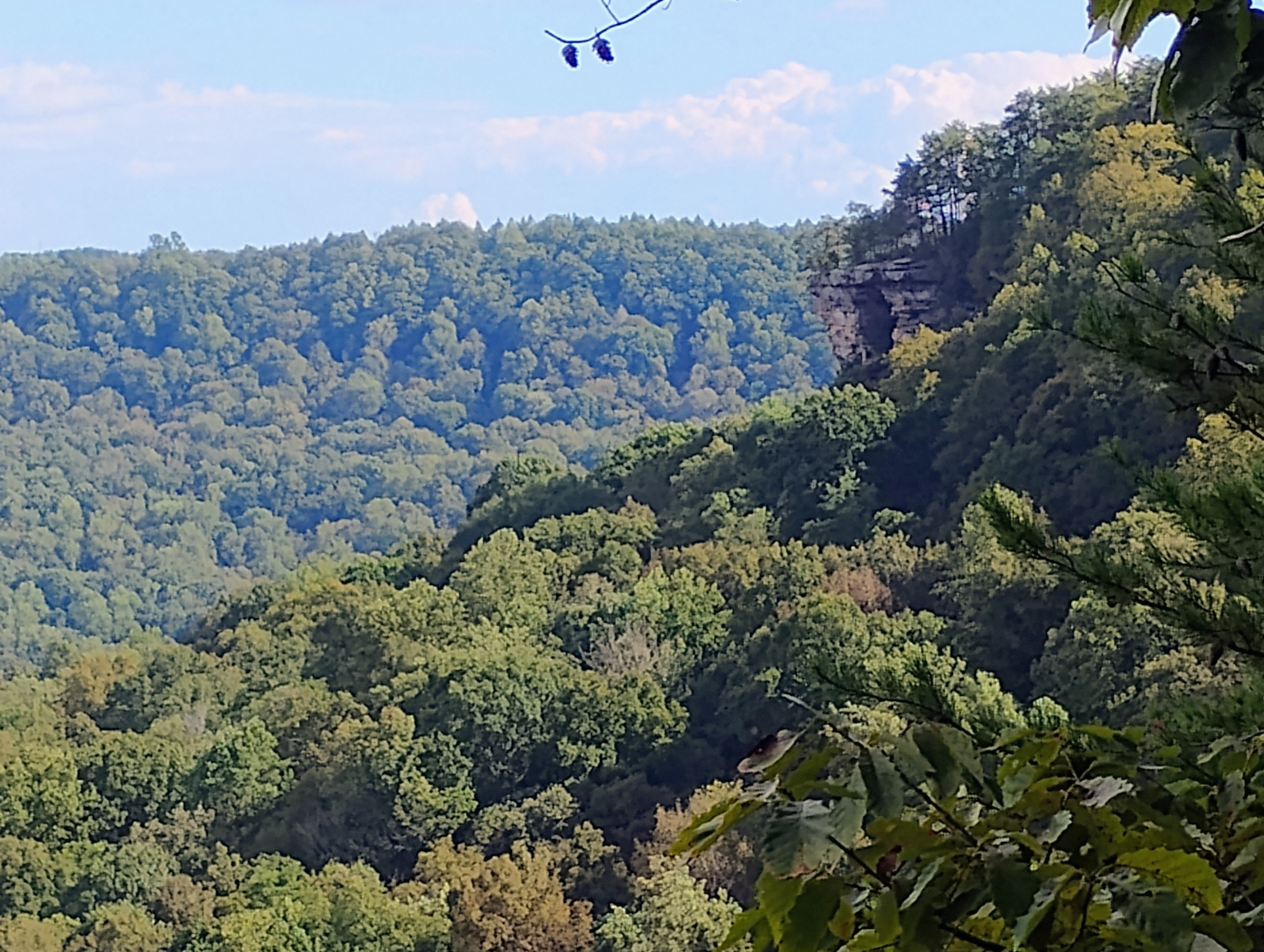 Stone Door Overlook at Savage Gulf State Park near Greeter Falls Campground